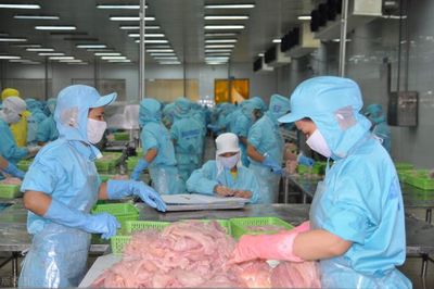 水產品加工廢水治理 兩種工藝應對300噸日排放不達標難題